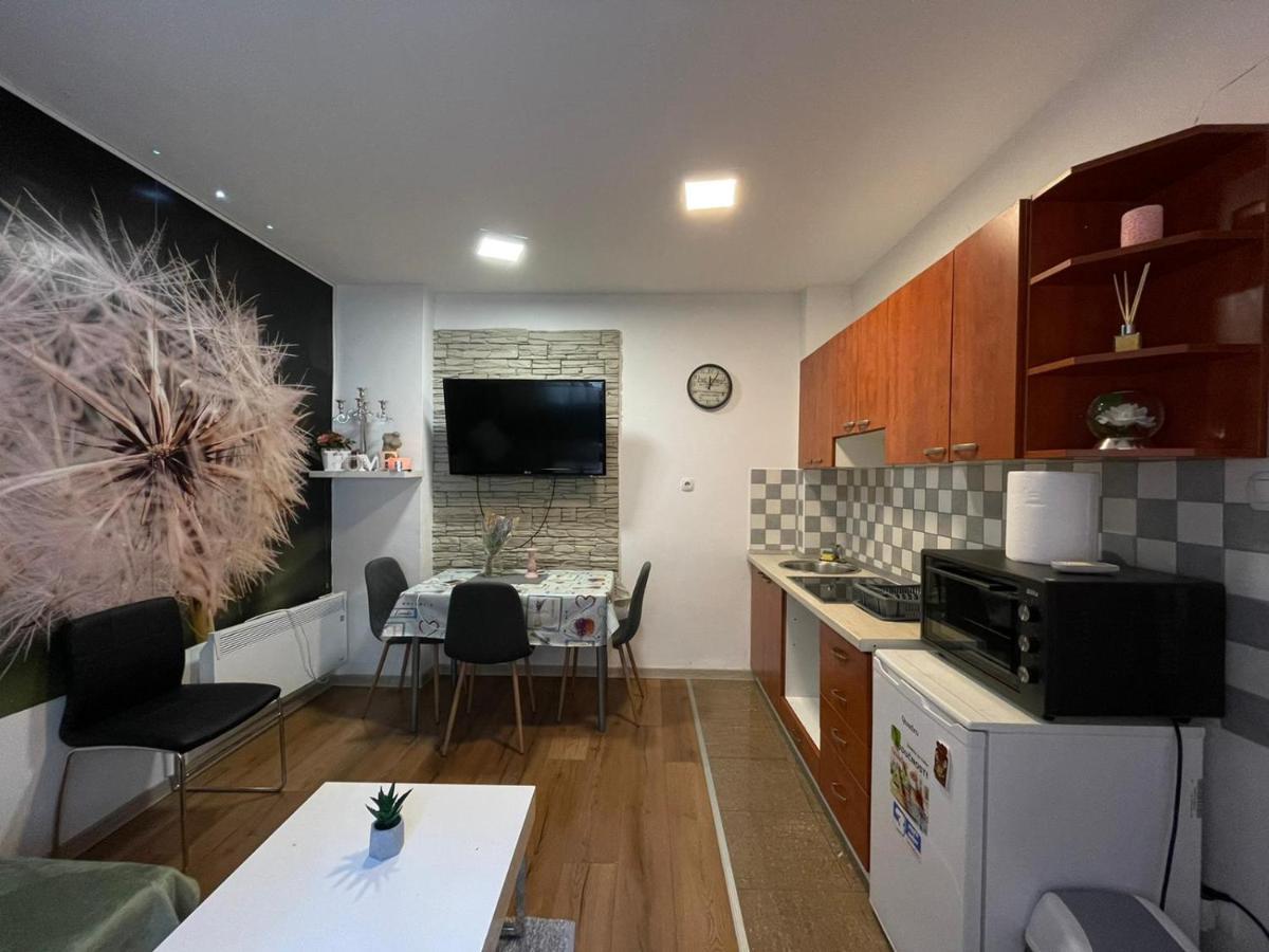 Cozy 1B Apartment Vera-Self Check In Ζάγκρεμπ Εξωτερικό φωτογραφία
