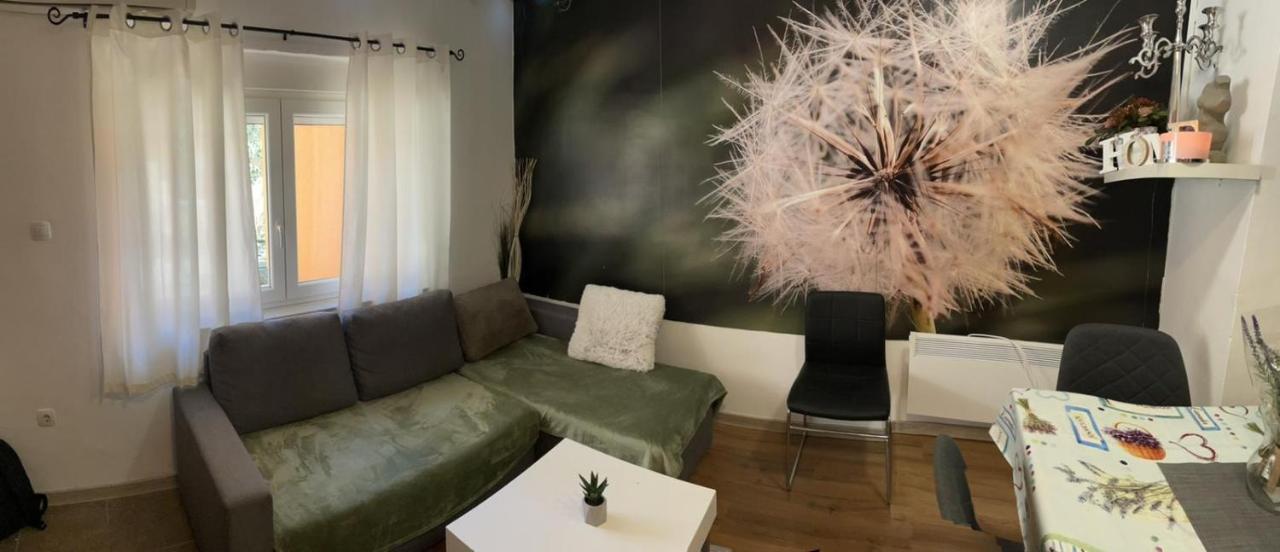 Cozy 1B Apartment Vera-Self Check In Ζάγκρεμπ Εξωτερικό φωτογραφία
